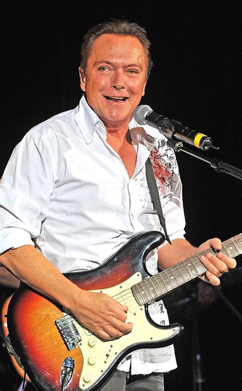 david cassidy facebook|david cassidy today.